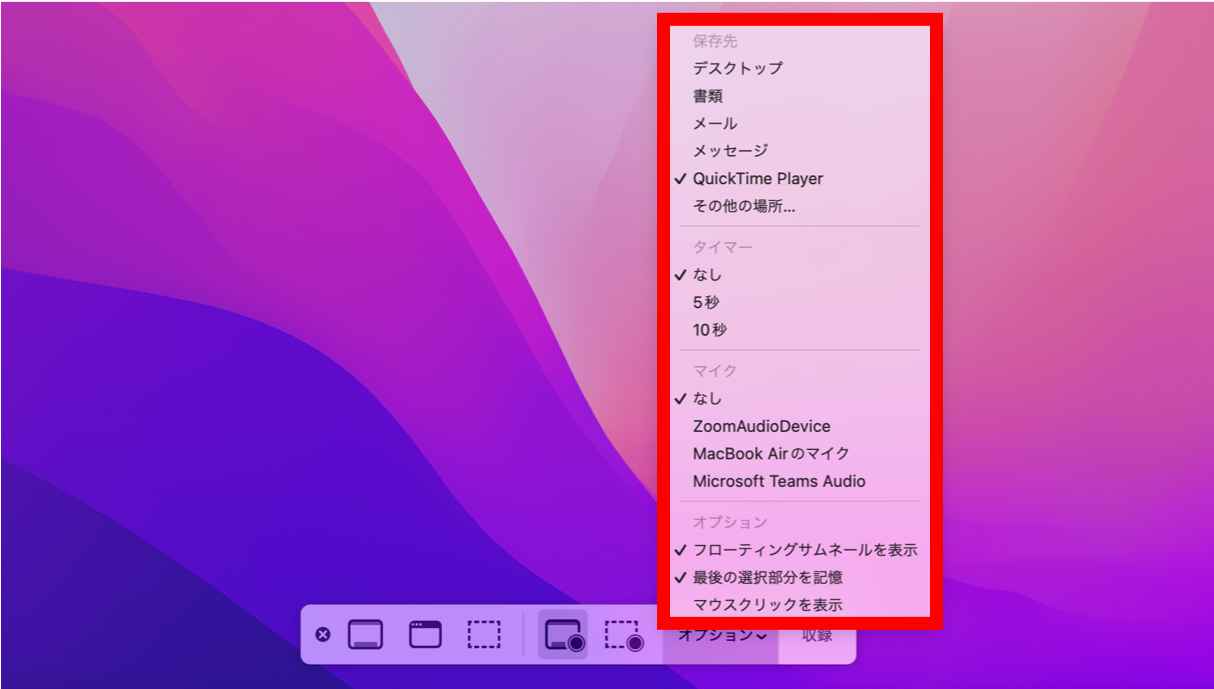 quicktime_player_オプション